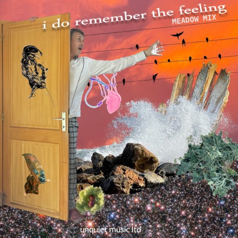 I Do Remember the Feeling (Meadow Mix) | Boomplay Music