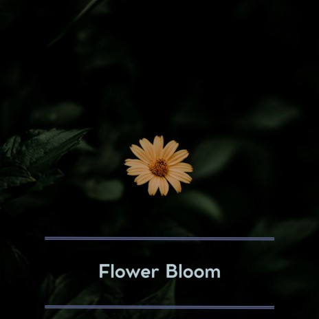 Flower Bloom (Rain) ft. Relaxation & Quiet Moments