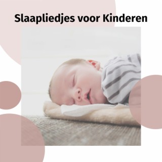 Slaapliedjes voor Kinderen - Instrumentale Muziek van de Muziekdoos