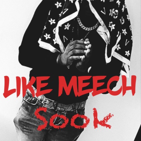 Like Meech | Boomplay Music