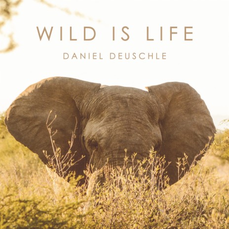 Wild Is Life | Boomplay Music