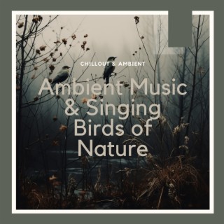 Ambient Music & Singing Birds of Nature
