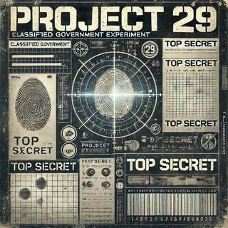 Project 29