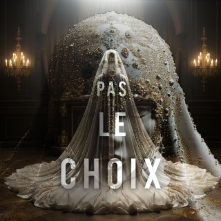 Pas le choix lyrics | Boomplay Music