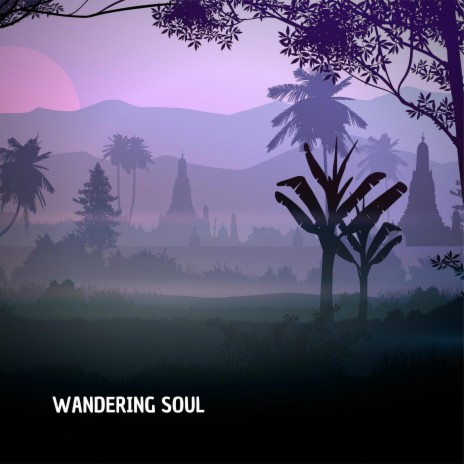 Wandering Soul | Boomplay Music