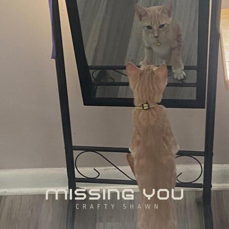 Missing You | Boomplay Music