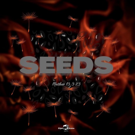 Seeds