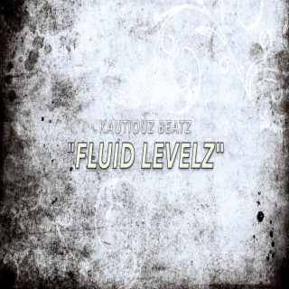 fluid levelz