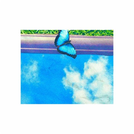 Butterflies | Boomplay Music