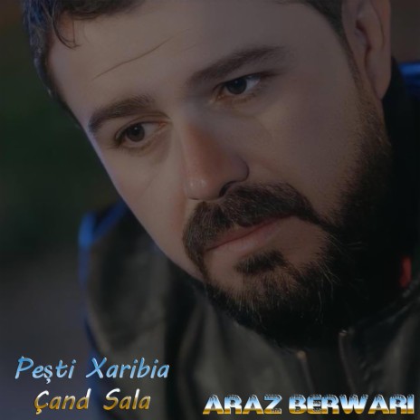 Pești Xaribia Çand Sala پشتی غەریبیا چەند سالا | Boomplay Music