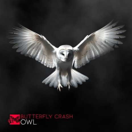 Owl | Boomplay Music