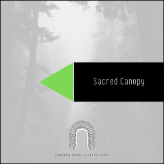 Sacred Canopy: Tribal Songs and Forest Sounds