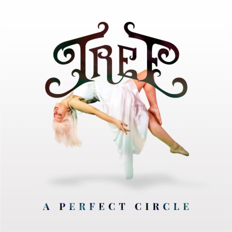 A Perfect Circle | Boomplay Music