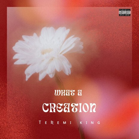 WHAT A CREATION | Boomplay Music