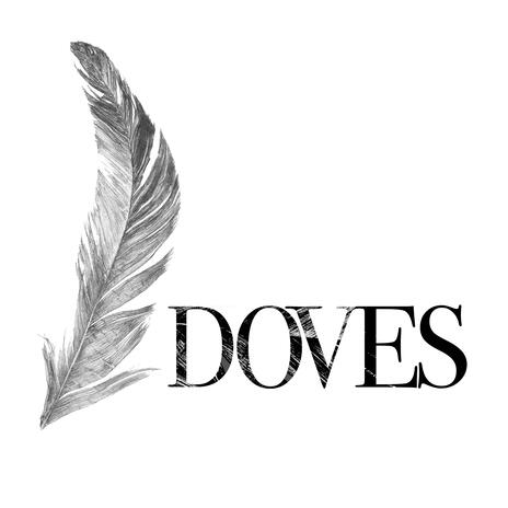 Doves | Boomplay Music