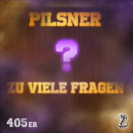 Zu Viele Fragen ft. 405er | Boomplay Music