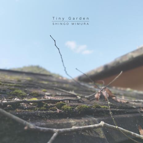 Tiny Garden | Boomplay Music