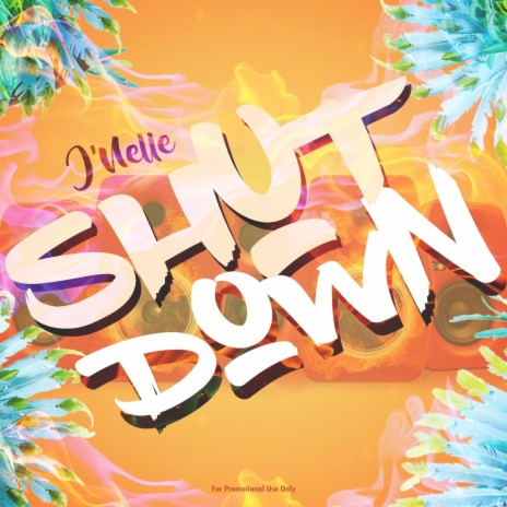 Shut Down | Boomplay Music