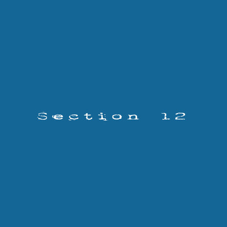 Section 12 | Boomplay Music