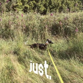 just. lyrics | Boomplay Music