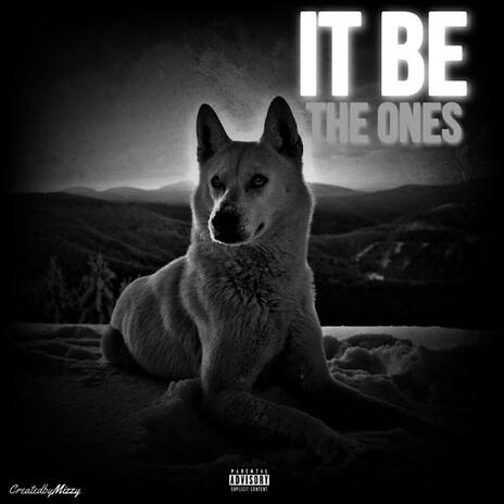 It Be The Ones | Boomplay Music