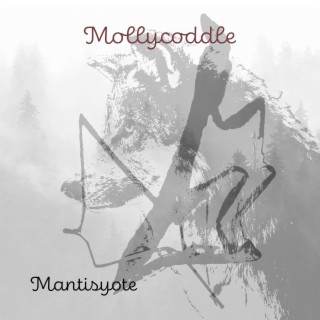 Mantisyote