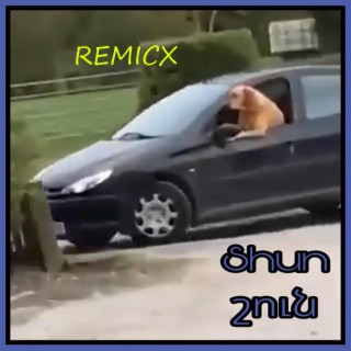 Shun Shuffle Remix