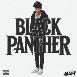 Black Panther ft. SnipedRecords lyrics | Boomplay Music