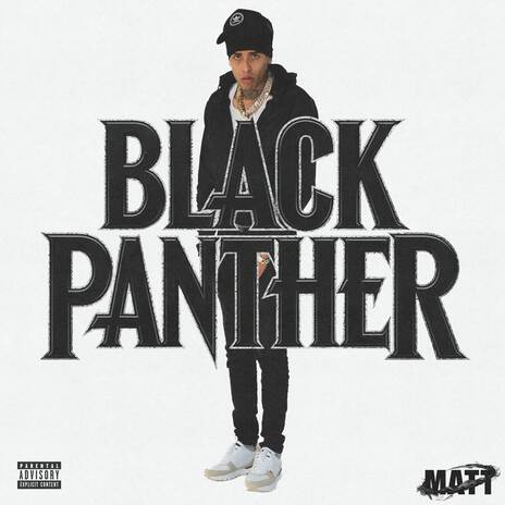 Black Panther ft. SnipedRecords | Boomplay Music