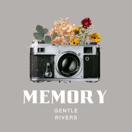 Memory | Boomplay Music