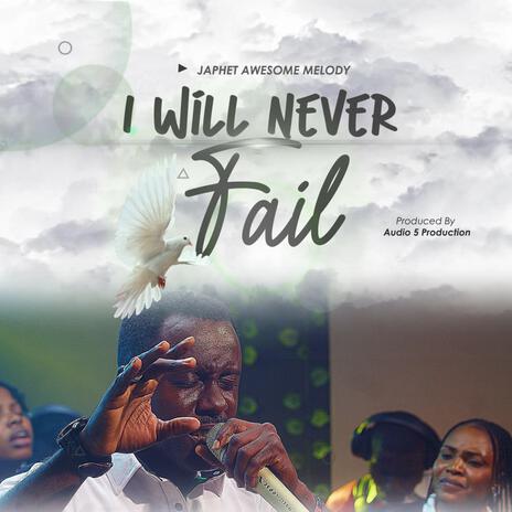 I Will Never Fail | Boomplay Music