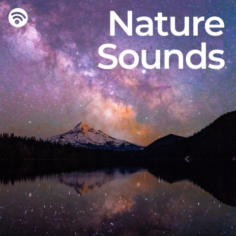 Sleeping Birds (Loopable, No Fade) ft. Nature Dreams & Music & Nature | Boomplay Music