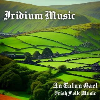 An Talun Gael (Irish Folk Music)