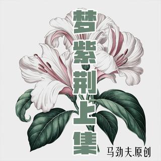 紫荆花（上集）