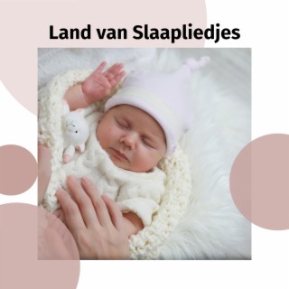 Land van Slaapliedjes: Melodieën uit de Muziekdoos