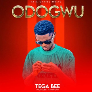 Odogwu