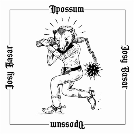 Opossum | Boomplay Music