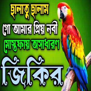 ছালাতু ছালাম গো নবী দরুদ ও ছালাম গো নবী কইও নবীর মোস্তফা য় ll নবীর প্রেমের জিকির ll জিকির.