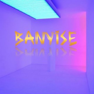 Banyise