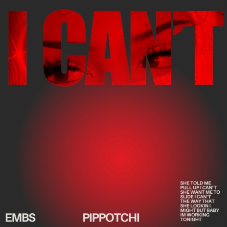 I Can't | Boomplay Music