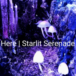 Starlit Serenade