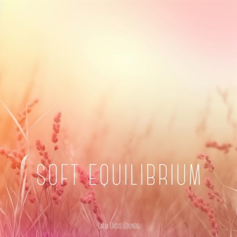 Soft Equilibrium (Night) ft. Guided Meditation & Everlight