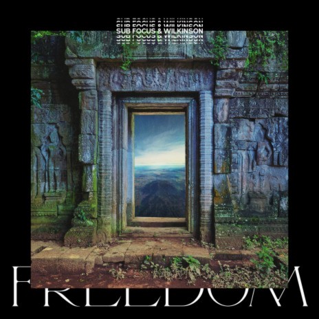 Freedom (Sub Focus x Wilkinson x High Contrast Remix) ft. Wilkinson & Empara Mi