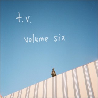 Vol. VI