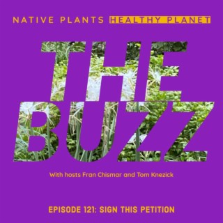 The Buzz - Sign This Petition