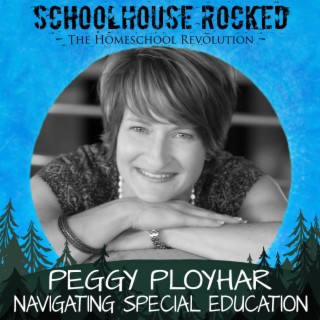 Navigating Special Education, Part 2 - Peggy Ployhar (Homeschool Survival Series)