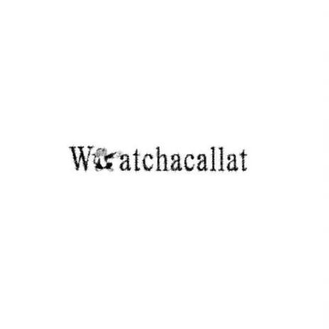 Whatchacallat* | Boomplay Music