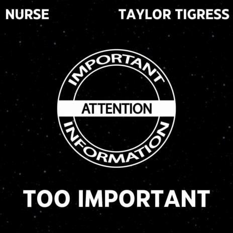 Too Important ft. Taylor Tigress | Boomplay Music