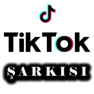 Tik Tok Şarkısı lyrics | Boomplay Music