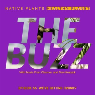 The Buzz - We’re Getting Cranky